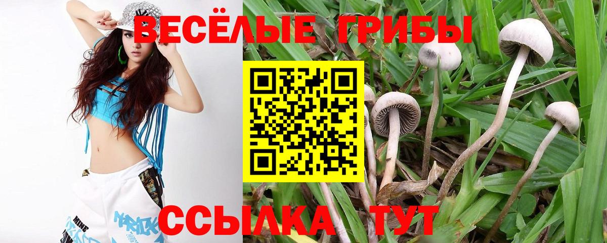 Псилоцибиновые грибы ЛСД Фрязино