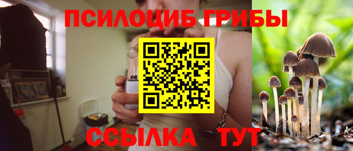 Фрязино  закладки  Вход с VPN  Галлюциногенные грибы Psilocybe 